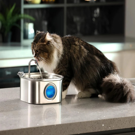 AquaFlow™ Stainless Steel Pet Fountain 3.2L