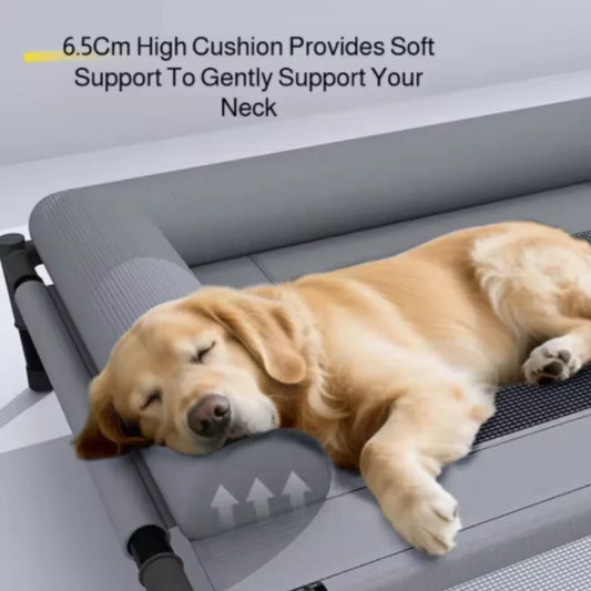 CoolPaw™ Elevated Cooling Dog Bed